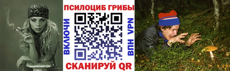 OMG как войти  Будённовск  Псилоцибиновые грибы прущие грибы  как найти закладки 